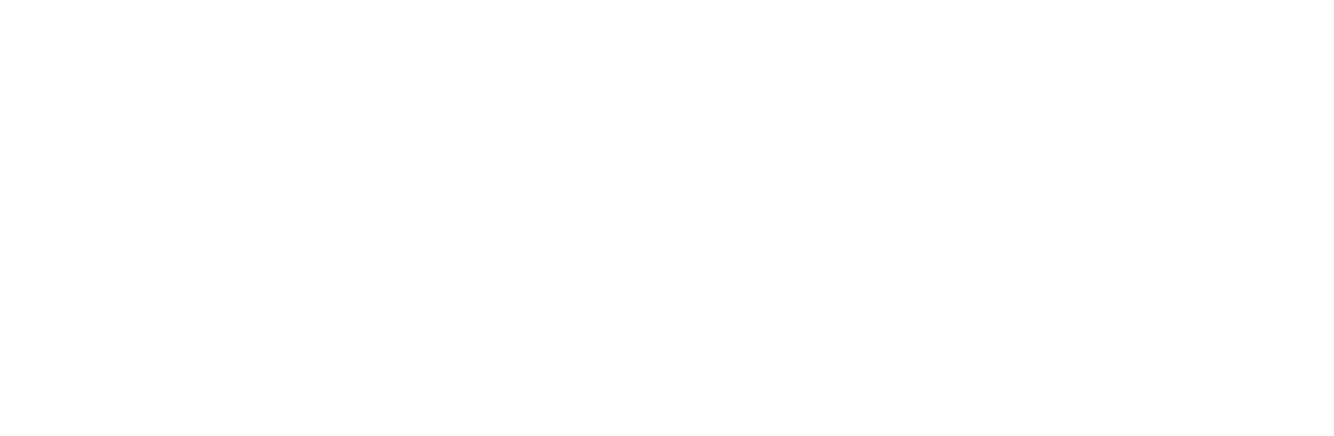 Wilson Tavares Photography